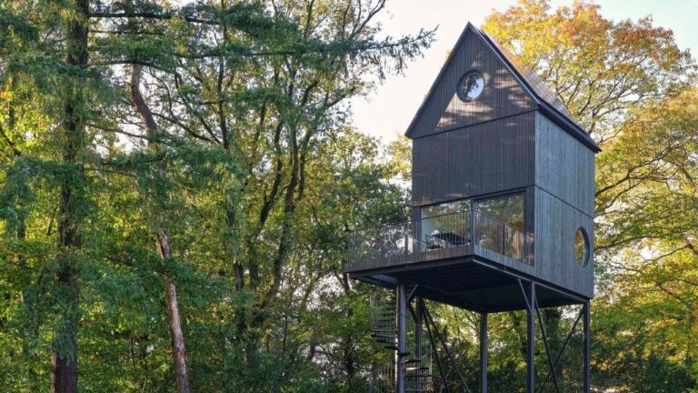 2 A birdhouse inspired tiny house nestled in nature that runs on solar power