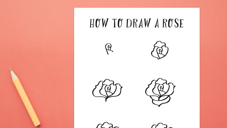 How to Draw a Rose Feature