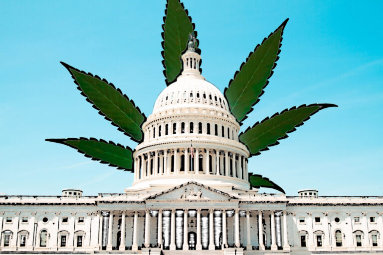 capitol hill marijuana leaf