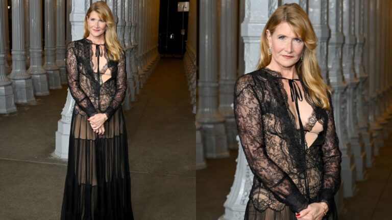 laura dern lacma fi