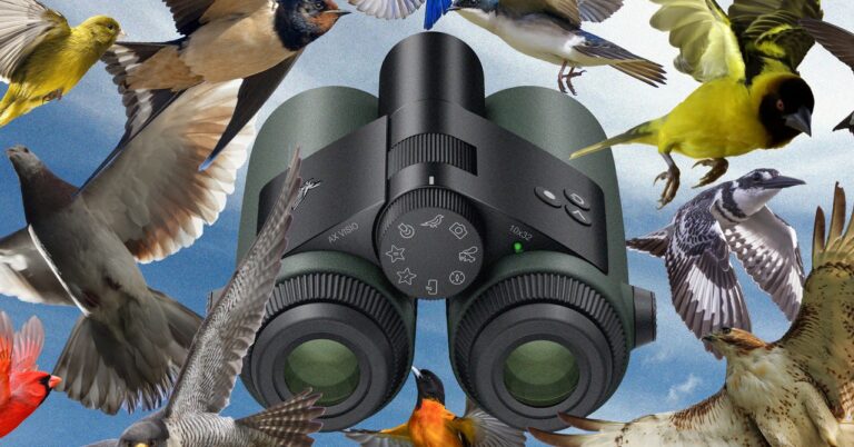 smart binoculars gear