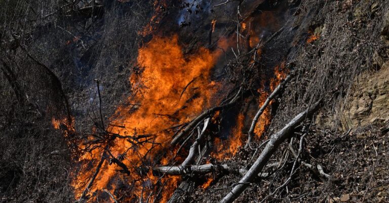 Science Carolinas wildfire GettyImages 2202662290